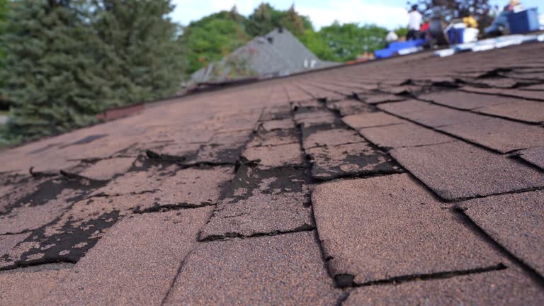 Fast & Reliable Emergency Roof Repairs in Greenville, NC