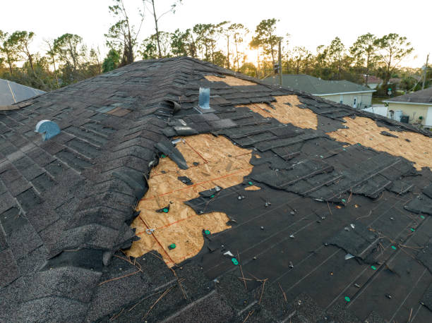 Best Hot Roofs  in Greenville, NC